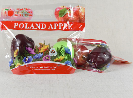 Kundengebundener BOPP-PET Antinebel-Reißverschluss-Kunststoffgehäuse-Taschen-Beutel ISO9001 für Früchte